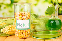 Danbury biofuel availability